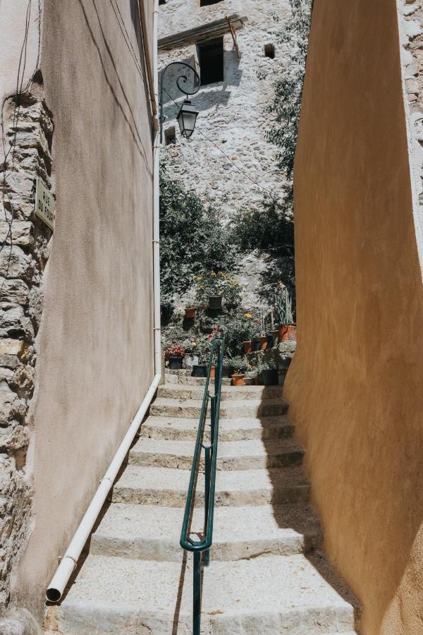 Casa Farniente Appartement Cocooning Provence Verte Montfort-sur-Argens Bagian luar foto